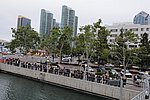 300_7509.JPG