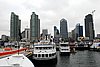 SGC_2646.JPG