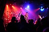 300_2381.JPG