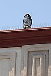 300_8978.JPG