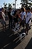 300_2094.JPG