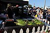 300_2115.JPG