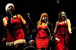 DSC_5514.JPG