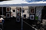 300_9509.JPG