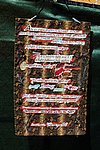 300_9731.JPG