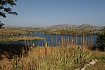 300_7097.JPG