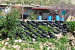 300_4199.JPG
