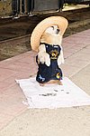 300_4377.JPG