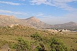 300_4405.JPG