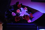 300_8330.JPG